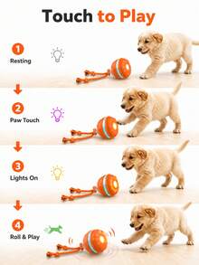 Mainan Bola Elektrik Pintar untuk Anjing, Bola Bergulir dengan Sensor Gerak dan Ekor Tali yang Tahan Lama, Mainan Interaktif untuk Anak Anjing, Berbagai Mode Permainan, Mainan Hewan Peliharaan yang Dapat Diisi Ulang USB, Cocok untuk Hiburan Dalam Ruangan Anjing Kecil dan Sedang - MultiWarna - View 4