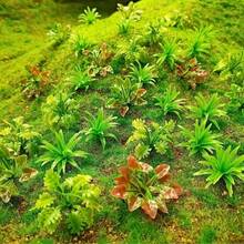 50 piezas de árboles y plantas artificiales en miniatura simulados - arbustos verdes realistas, para la construcción de paisajes en maquetas de trenes, escenarios y decoración del paisaje - ideal para proyectos DIY y aficionados - Multicolor - Ver 7