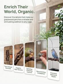 1pc Curved Grapevine Bird Perch, Asymmetrical Wooden Branch Bird Cage Accessory, Parrot/Lovebird/Small Parrot Claw Grinding Exercise Play Platform, Indoor Cage Decor, Pet Birthday Holiday Celebration Gift - A - View 7