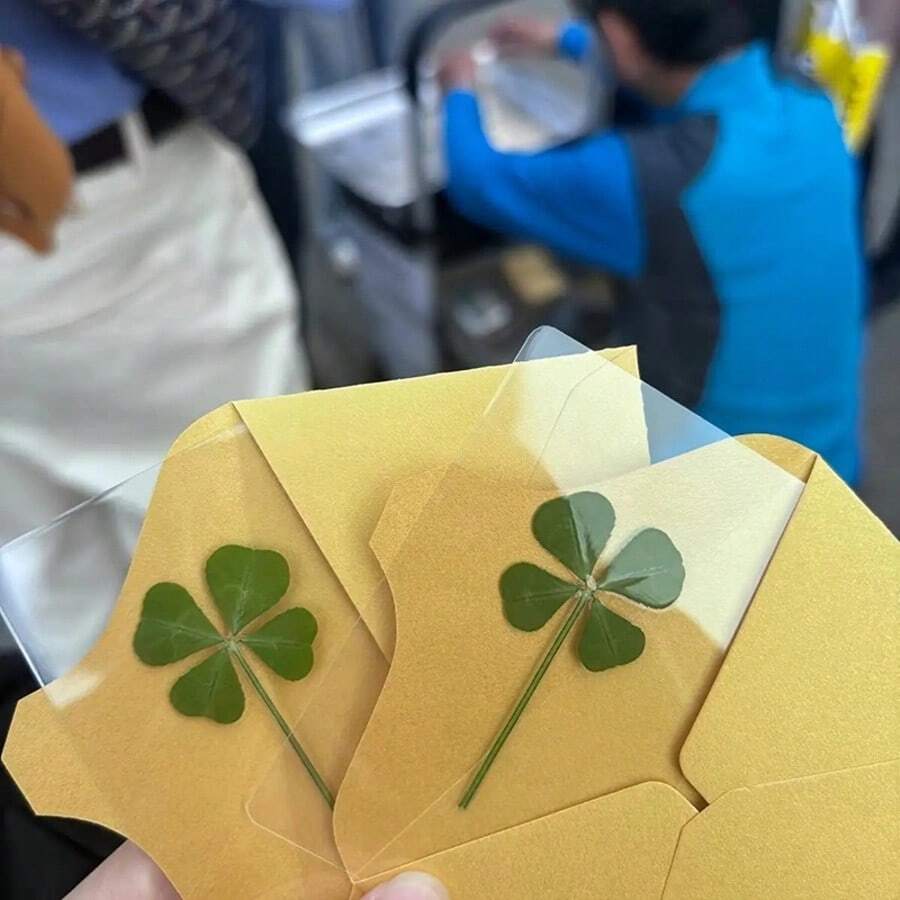 1/8件/1套幸運四葉草卡片組－透明材質設計，適合生日與婚禮，愛爾蘭風書籤裝飾，派對小禮物，逼真四葉草圖案