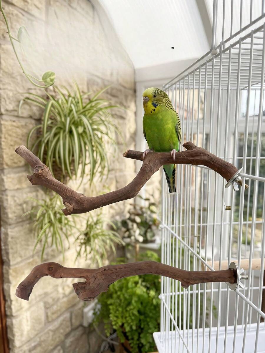 1pc Curved Grapevine Bird Perch, Asymmetrical Wooden Branch Bird Cage Accessory, Parrot/Lovebird/Small Parrot Claw Grinding Exercise Play Platform, Indoor Cage Decor, Pet Birthday Holiday Celebration Gift - A - View 1