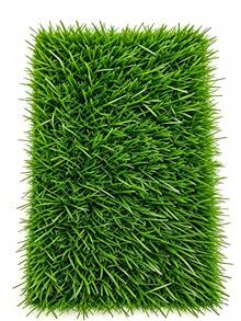 Artificial Grass Turf For Balcony, Patio, Yard, Wall Decor, Party Venue And Indoor Decoration - Artificial Turf - View 15