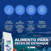 Lomas Alimento para Peces de Estanque Pond STIX 15 kg | para Carpas y Peces Japoneses | Alta Digestibilidad y Nutrición Balanceada - 15 kg - Ver 6