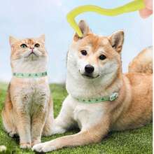 3pcs Pet Tick Removal Tool Set, Flea Removal Hook, Dog & Cat Grooming Tools - Multicolor - View 5
