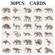 30pcs X-Ray Style Animal Skeleton Art Cards, Vintage Bone Anatomy Printed Cards, Animal Skeletal Structure Learning Cards, Suitable For Home Education, Classroom Activities And Nature Enthusiasts - Multicolor - View 3