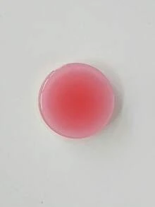 Giá đỡ điện thoại dán bàn dạng túi khí thu gọn, màu trơn trong suốt, kiểu macaron, chất liệu epoxy, thiết kế slouchy cho ốp lưng - Nhiều màu - Xem 72