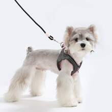 新款小型犬胸背帶，穿入式柔軟輕量幼犬背心，環繞式透氣網布寵物胸背帶附反光條，適合散步、可搭配牽繩，小型犬與貓用戶外旅行背心 - 彩色 - 查看 7