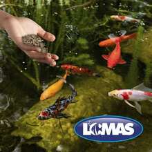 Lomas Alimento para Peces de Estanque Pond STIX 15 kg | para Carpas y Peces Japoneses | Alta Digestibilidad y Nutrición Balanceada - 15 kg - Ver 3