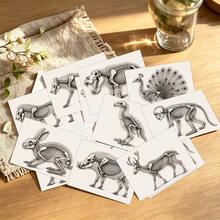 30pcs X-Ray Style Animal Skeleton Art Cards, Vintage Bone Anatomy Printed Cards, Animal Skeletal Structure Learning Cards, Suitable For Home Education, Classroom Activities And Nature Enthusiasts - Multicolor - View 5