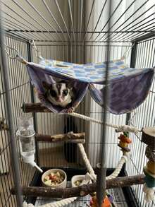 1pc Double-Layer Floral Pattern Ferret Hammock, Blue Sugar Glider Hanging Sleeping Bag, Waterproof Tunnel Nest, Hiding Place, Breathable, Multi-Opening, With Hooks, Cage Accessory, Suitable For Rabbits, Hamsters, Small Pets, Hamster Supplies - A - View 5