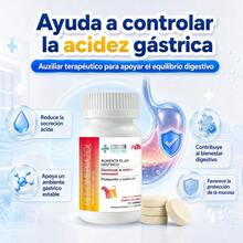 Nausea & Vomiting Care Products - 彩色 - 查看 4