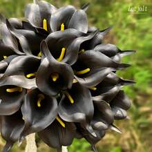 1pc/4pcs/10pcs Artificial Calla Lily Flowers, Realistic Floral Bouquet, Suitable For Valentine's Day Party, Garden Decor, Lifelike Texture, Suitable For Living Room, Bedroom, Dining Room, Office Decor, Spring Decoration - Black - View 10