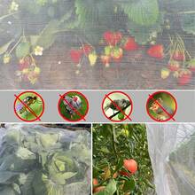 1 buah Jaring Pembatas Jala Ultra Halus Putih Ekstra Besar - Ideal untuk Melindungi Pohon Buah, Sayuran & Blueberry - beraneka warna - View 8