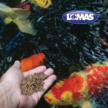 Lomas Alimento para Peces de Estanque Pond STIX 15 kg | para Carpas y Peces Japoneses | Alta Digestibilidad y Nutrición Balanceada - 15 kg - Ver 4