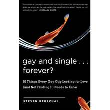 Pre-Owned Gay And Single ... Forever?: 10 Things Every Gay Guy Looking For Love (And Not Finding It) (Paperback) By Steve Bereznai - Single Book - View 3