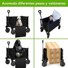 Carts & Wagons, Shopping Trolleys - Black - View 6
