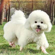 10 Rolls Fruit Pattern Pet Protective Bandage, Breathable Anti-Dirt Bandage, Dog Joint Protection, Paw Pad Protection Wrap, Suitable For Dog Foot Wrapping, Anti-Scratch - Multicolor - View 8