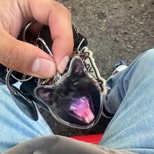 1個客製化照片鑰匙圈，個性化寵物照片鑰匙圈，家庭照片鑰匙圈，壓克力寵物鑰匙圈，個性化狗貓鑰匙圈 - 彩色 - 查看 5