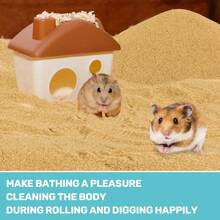 Sukh Hamster Arena del desierto de 15 onzas, baño de arena fina para reptiles ermitaño cangrejo enano, hámster, chinchilla, jerbo de tortuga como zoológico Med Repti, sustrato de arena, hámster, - Multicolor - Ver 4