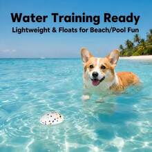 3pcs Pet Multi-Purpose Toy Set, Bone Football Toy Set, Lightweight, Floatable, High Elasticity And Durable, Puppy Fetch Game Toys, Medium Small Large Dog Chase Game Equipment, Perfect For Outdoor Training, Park Backyard Lawn Human-Pet Interaction Toys - Multicolor - View 5