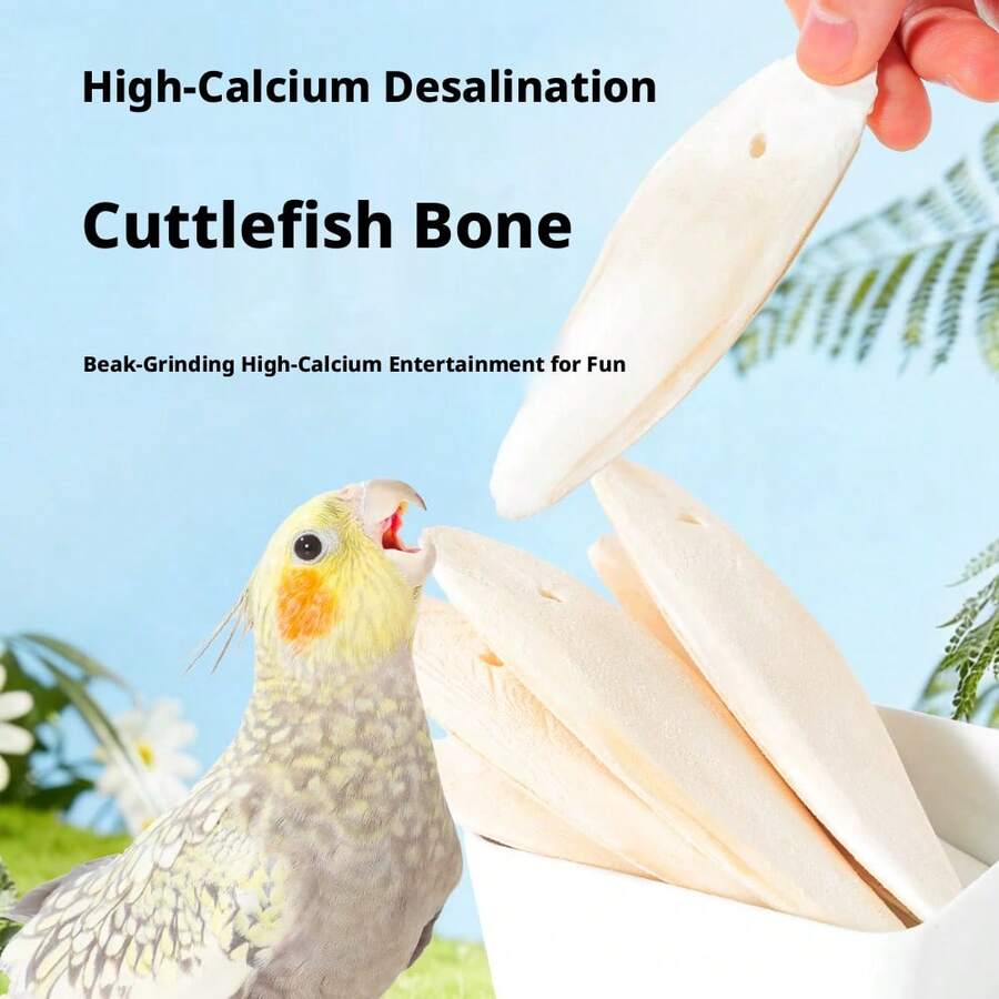 Desalinated Cuttlebone Chewing Toy And Beak Grinding Snack, Natural Calcium Supplement For Birds, Parrots, Reptiles, Turtles, Durable Cage Accessory, Daily Treat For Small Pets