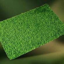 Artificial Grass Dog Pee Pad, Indoor/Outdoor Universal Dog Urine Mat, Simulated Grass Dog Pee Pad - View 11