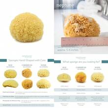 Neptune Caribbean Sea Sponge For Face And Body, Medium Approx. 5-6 Inch, Ultra-Soft Bath Sponge, -Friendly And - Yellow - View 1