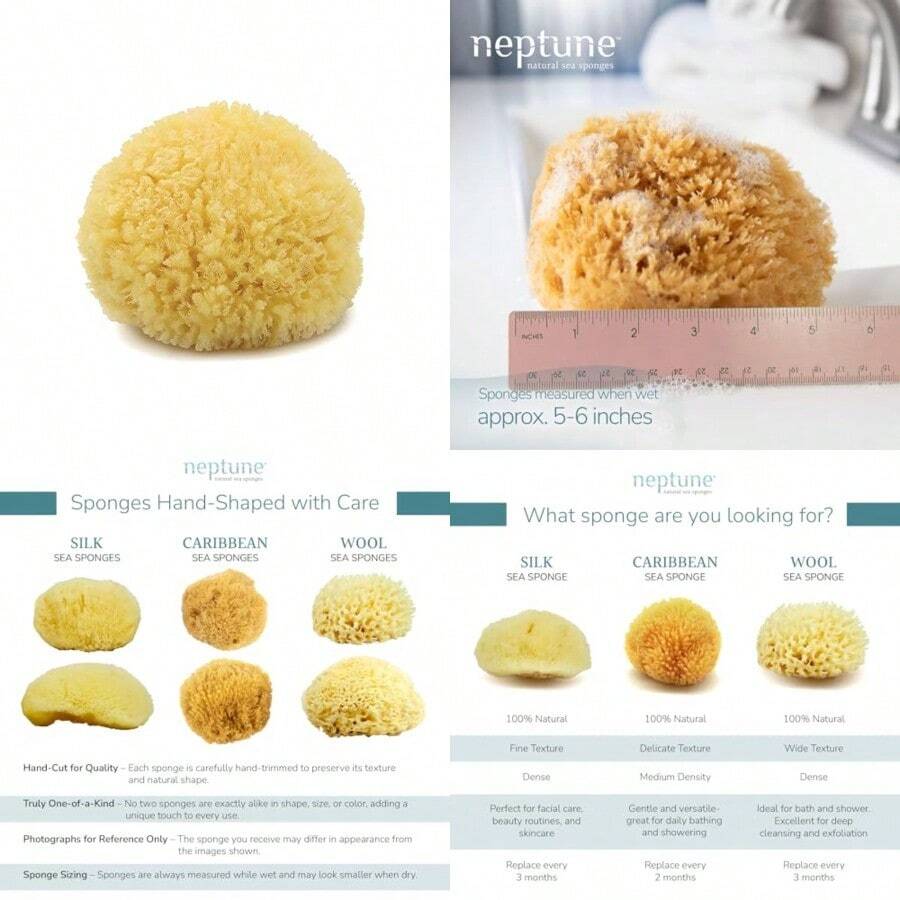 Neptune Caribbean Sea Sponge For Face And Body, Medium Approx. 5-6 Inch, Ultra-Soft Bath Sponge, -Friendly And - Yellow - View 1