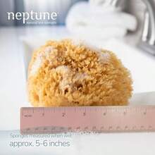 Neptune Caribbean Sea Sponge For Face And Body, Medium Approx. 5-6 Inch, Ultra-Soft Bath Sponge, -Friendly And - Yellow - View 3