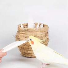 Desalinated Cuttlebone Chewing Toy And Beak Grinding Snack, Natural Calcium Supplement For Birds, Parrots, Reptiles, Turtles, Durable Cage Accessory, Daily Treat For Small Pets - 8-10 - View 5