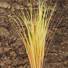 Fake Desert Dry Grass, Reptile Plants For Terrarium, Bearded Dragon Tank Accessories Habitat Decor Fit Crested Gecko Leopard Lizard Chameleon Ball Python Snake - Ffake Desert Dry Grass - View 5