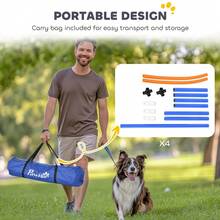 Four-Piece Portable Dog Agility Equipment - Blue - T0001-01-1320 - View 9