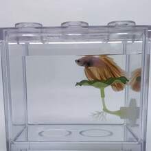 1件式人造鬥魚葉片休息墊附吸盤，仿真荷葉鬥魚吊床，水族魚缸休息植物裝飾，適合鬥魚 Splendens 的小型熱帶魚睡眠裝飾 - 單片荷葉 - 查看 1