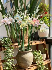 1/5/10 Conjuntos de Estacas de Decoração de Jardim Romântico - Design de Flor de Lírio do Vale Artificial Miniatura, Material Acrílico, Cor Gradiente Fofa; Adequado para Decoração de Plantas em Vasos e Acessórios Feitos à Mão para Pequenas Festas, Criando Atmosfera de Jardim; Conjunto de Decoração de Plantas Universal para Uso Interno/Externo - Multicolorido - Visão 1