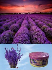 1/3/4 piezas AromaRelax Ambientador Sólido de Larga Duración - Desodorizante, Fragancia de Larga Duración, Múltiples Aromas, Aroma Fresco para Baño y Dormitorio, Perfecto para Decoración del Hogar, Regalo de Boda. - A - Ver 10
