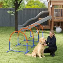 Four-Piece Portable Dog Agility Equipment - Blue - T0001-01-1320 - View 11