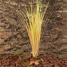 Fake Desert Dry Grass, Reptile Plants For Terrarium, Bearded Dragon Tank Accessories Habitat Decor Fit Crested Gecko Leopard Lizard Chameleon Ball Python Snake - Ffake Desert Dry Grass - View 4