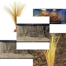 Fake Desert Dry Grass, Reptile Plants For Terrarium, Bearded Dragon Tank Accessories Habitat Decor Fit Crested Gecko Leopard Lizard Chameleon Ball Python Snake - Ffake Desert Dry Grass - View 2