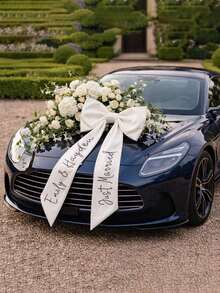 客製化婚車蝴蝶結，個性化姓名大號緞面蝴蝶結，新娘婚車裝飾，浪漫婚禮拍照道具，裝飾用，可重複使用，居家適用 - 彩色 - 查看 4