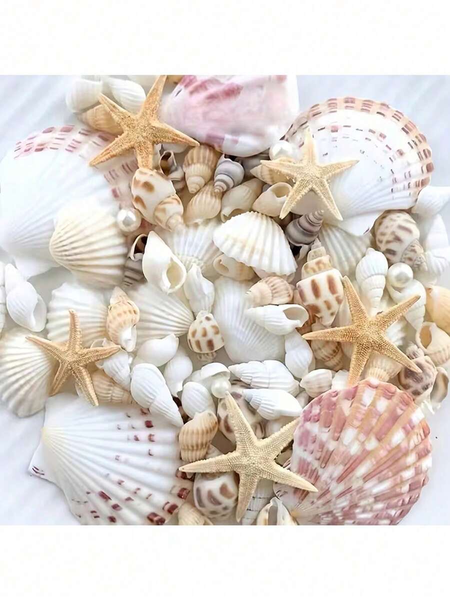 1盒約100件海洋貝殼與海螺－適用於DIY珠寶製作、魚缸浴室家居裝飾、派對蠟燭婚禮裝飾、手工藝品 - 多色 - 查看 1