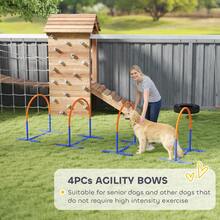 Four-Piece Portable Dog Agility Equipment - Blue - T0001-01-1320 - View 7