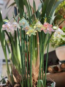 1/5/10 Conjuntos de Estacas de Decoração de Jardim Romântico - Design de Flor de Lírio do Vale Artificial Miniatura, Material Acrílico, Cor Gradiente Fofa; Adequado para Decoração de Plantas em Vasos e Acessórios Feitos à Mão para Pequenas Festas, Criando Atmosfera de Jardim; Conjunto de Decoração de Plantas Universal para Uso Interno/Externo - Multicolorido - Visão 3