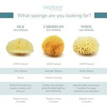 Neptune Caribbean Sea Sponge For Face And Body, Medium Approx. 5-6 Inch, Ultra-Soft Bath Sponge, -Friendly And - Yellow - View 6