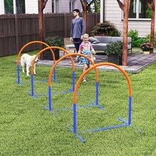 Four-Piece Portable Dog Agility Equipment - Blue - T0001-01-1320 - View 5