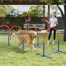 Four-Piece Portable Dog Agility Equipment - Blue - T0001-01-1320 - View 6
