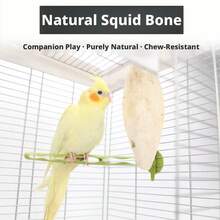 Desalinated Cuttlebone Chewing Toy And Beak Grinding Snack, Natural Calcium Supplement For Birds, Parrots, Reptiles, Turtles, Durable Cage Accessory, Daily Treat For Small Pets - 8-10 - View 6