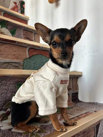 Vestido de malla para perro con estampado de oso de helado, vestido de mascota con tirantes de tul transparente y volantes, atuendo ligero y fresco para cachorro y gato, adecuado para uso diario en primavera, otoño, verano y fotos lindas