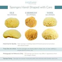 Neptune Caribbean Sea Sponge For Face And Body, Medium Approx. 5-6 Inch, Ultra-Soft Bath Sponge, -Friendly And - Yellow - View 4
