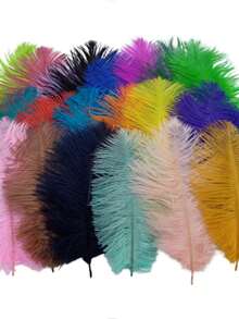 1 Pack 10pcs 20-25cm/8-10in Colorful Artificial Ostrich Feathers, Suitable For Handicrafts, Carnival Decoration, Tabletop Decor, Vase Decoration, Handmade Accessories - A - View 29
