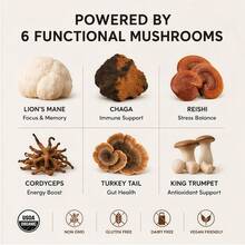 RZYE Best Seller Mushroom Coffee 3-Pack – 6 Adaptogenic Mushrooms Blend | Natural Energy, Mental Clarity & Digestive Health | Smooth Focus Without Jitters | Coffee Alternative For Morning Boost Or Afternoon Pick-Me-Up - 單包裝 - 查看 4